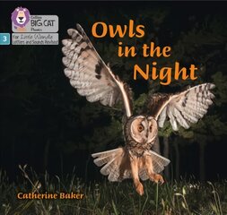 Owls in the Night: Phase 3 Set 2 цена и информация | Книги для подростков и молодежи | pigu.lt