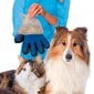 Pirštinės šunų ir kačių kailiui šukuoti цена и информация | Priežiūros priemonės gyvūnams | pigu.lt