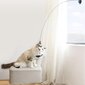 Kačių žaislas su siurbimo taurele цена и информация | Draskyklės | pigu.lt