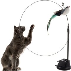 Kačių žaislas su siurbimo taurele kaina ir informacija | Draskyklės | pigu.lt