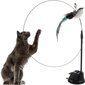 Kačių žaislas su siurbimo taurele цена и информация | Draskyklės | pigu.lt