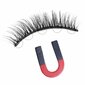 Rinkinys StoreXO Magnetic Lashes 7 Pairs Mag-Lash цена и информация | Priklijuojamos blakstienos, blakstienų rietikliai | pigu.lt