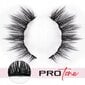 Rinkinys StoreXO Magnetic Lashes 7 Pairs Mag-Lash цена и информация | Priklijuojamos blakstienos, blakstienų rietikliai | pigu.lt