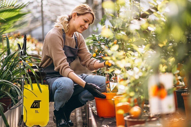 Slėginis purkštuvas StoreXO, 5L kaina ir informacija | Laistymo įranga, purkštuvai | pigu.lt