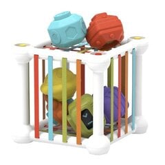 Сенсорный сортировщик кубиков цена и информация | Игрушки для малышей | pigu.lt