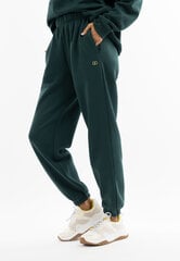женские спортивные штаны HOOTOMI, зеленый цена и информация | Спортивная одежда для женщин | pigu.lt