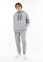 Džemperis vyrams Hootomi, pilkas kaina ir informacija | Sportinė apranga vyrams | pigu.lt