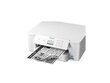 Epson WorkForce Pro WF-M4119DW цена и информация | Spausdintuvai | pigu.lt