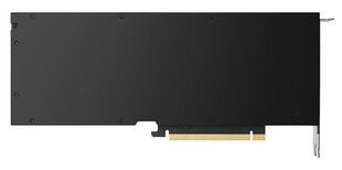 Leadtek Nvidia RTX A2000 kaina ir informacija | Vaizdo plokštės (GPU) | pigu.lt