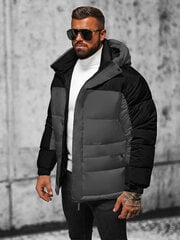 Rosso Куртки Grey 31M5008/GREY 31M5008/GREY/48 цена и информация | Женские куртки | pigu.lt