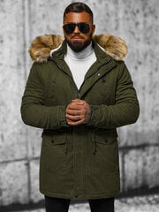 Žieminė striukė vyrams, žalia цена и информация | Мужские куртки | pigu.lt