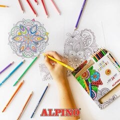 Карандаши цветные Alpino Color Experience, 24 цвета цена и информация | Принадлежности для рисования, лепки | pigu.lt