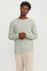 Jack & Jones свитер, зелёный цена и информация | Мужские свитера | pigu.lt