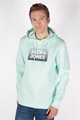 Спортивный свитер JACK & JONES 12250266PACIFICCOAST-S цена и информация | Мужские толстовки | pigu.lt