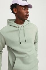 Jack & Jones спортивный свитер, зелёный цена и информация | Мужские толстовки | pigu.lt