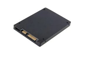 CoreParts P3-256T цена и информация | Внутренние жёсткие диски (HDD, SSD, Hybrid) | pigu.lt