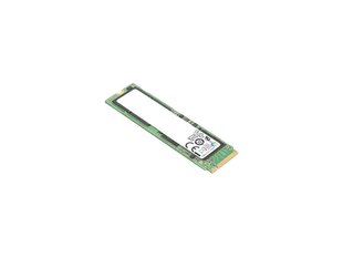 Lenovo FRU01FR538 kaina ir informacija | Vidiniai kietieji diskai (HDD, SSD, Hybrid) | pigu.lt