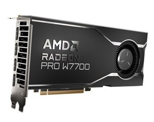 AMD Radeon Pro W7700 (100-300000006) kaina ir informacija | Vaizdo plokštės (GPU) | pigu.lt