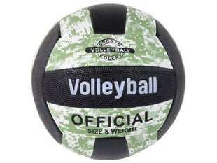 Волейбольный мяч, зеленый, 5 цена и информация | Nenurodyta Сетевой | pigu.lt