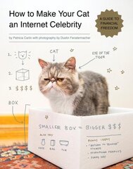 How to Make Your Cat an Internet Celebrity: A Guide to Financial Freedom цена и информация | Фантастика, фэнтези | pigu.lt