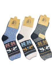 Носки из шерсти UK Looken 35-38, 3 пары, разноцветные цена и информация | Женские носки | pigu.lt