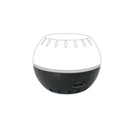 USB-адаптер Shelly H&T (черный) цена и информация | Датчики | pigu.lt