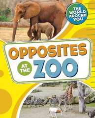 Opposites at the Zoo kaina ir informacija | Knygos mažiesiems | pigu.lt