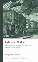 Industrial Gothic: Workers, Exploitation and Urbanization in Transatlantic Nineteenth-Century Literature цена и информация | Исторические книги | pigu.lt