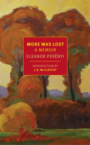 More Was Lost: A Memoir Main kaina ir informacija | Biografijos, autobiografijos, memuarai | pigu.lt