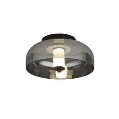 Searchlight потолочный светильник Frisbee 59804-1SM цена и информация | Потолочные светильники | pigu.lt