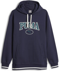 Džemperis vyrams Puma, mėlynas kaina ir informacija | Džemperiai vyrams | pigu.lt
