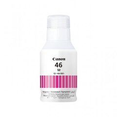 Canon 4428C001 цена и информация | Картриджи для струйных принтеров | pigu.lt