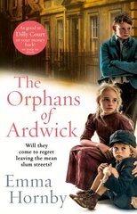 Orphans of Ardwick kaina ir informacija | Fantastinės, mistinės knygos | pigu.lt
