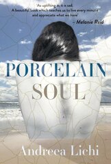 Porcelain Soul цена и информация | Книги для подростков и молодежи | pigu.lt