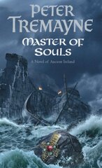 Master Of Souls (Sister Fidelma Mysteries Book 16): A chilling historical mystery of secrecy and danger kaina ir informacija | Fantastinės, mistinės knygos | pigu.lt