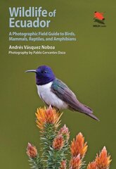 Wildlife of Ecuador: A Photographic Field Guide to Birds, Mammals, Reptiles, and Amphibians kaina ir informacija | Fotografijos knygos | pigu.lt