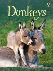 Donkeys kaina ir informacija | Knygos mažiesiems | pigu.lt