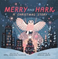 Merry and Hark: A Christmas Story цена и информация | Книги для подростков и молодежи | pigu.lt