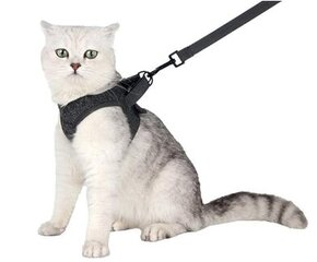 Защитный жилет для кошек, серый, размер M цена и информация | Поводки и ошейники для кошек | pigu.lt
