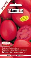 Томаты низкие Mieszko F1, 0,5 г цена и информация | Семена овощей, ягод | pigu.lt
