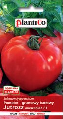 Pomidorai Jutrosz F1 kaina ir informacija | Daržovių, uogų sėklos | pigu.lt