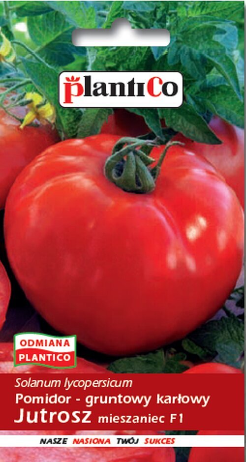 Pomidorai Jutrosz F1 цена и информация | Daržovių, uogų sėklos | pigu.lt