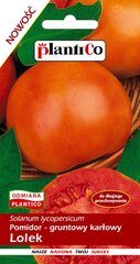 Помидоры низкие Lolek, 0,20 г цена и информация | Семена овощей, ягод | pigu.lt