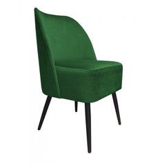 Svetainės fotelis Monaco Decorates, žalias kaina ir informacija | Svetainės foteliai | pigu.lt