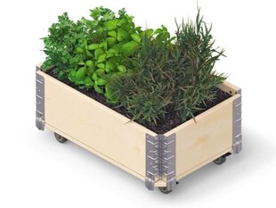Ящик для цветов Herbs Box на колесах 600х400х195мм цена и информация | Теплицы | pigu.lt
