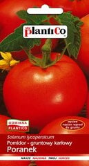 Pomidorai žemi Poranek kaina ir informacija | Daržovių, uogų sėklos | pigu.lt