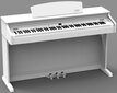 Elektrinis pianinas Artesia DP-10e kaina ir informacija | Klavišiniai muzikos instrumentai | pigu.lt