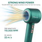 Fluarion Hurricane Power Professional kaina ir informacija | Plaukų džiovintuvai | pigu.lt