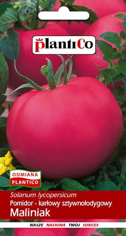 Pomidorai aviečių žemas Maliniak цена и информация | Daržovių, uogų sėklos | pigu.lt