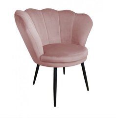 Svetainės fotelis Shell Decorates, rožinis kaina ir informacija | Svetainės foteliai | pigu.lt
